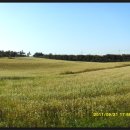 공음농장 이미지