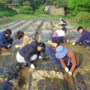 한국천연염색대학원 네이버블로그