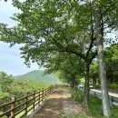 운문산 둘레길 이미지