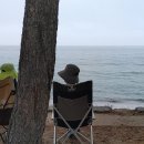 남호해수욕장 이미지