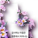 #코스트코 장 보기 이미지