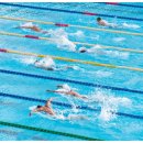 월드수영센터 이미지