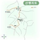 선