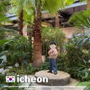 이천제일식자재 | 이천 아이랑 가볼만한곳 경춘당 베이커리&브런치 식물원 카페