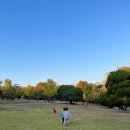 서문동물약국 이미지