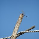 편안한쉼터 이미지