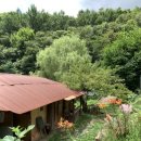 긴물스테이 이미지