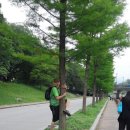 죽녹원마을 이미지