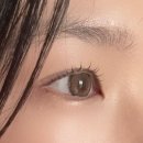 만년교 버스정류장 | [대전/봉명동] 유성온천역 속눈썹펌 &lt;올뮤&gt; 후기