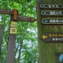 문수산(문수봉403.2m)-바래기산(368m) [한남정맥(2차)][2023.06.06(화)]2 이미지