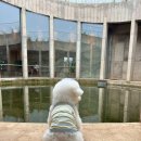 무릉별장 | [서귀포시 대정읍] 제주도 대형 건축물 신상카페 &#39;모아시&#39;