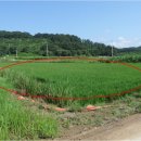 답내1리 이미지