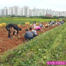 버들농장 이미지