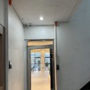 세레인 | 군포 맛집 당동 파스타 세레노리