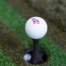 악어 스크린 골프 이미지