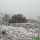 초천3리 이미지