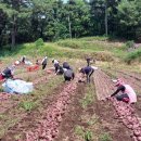 대병면사무소 이미지