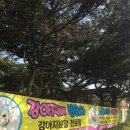 노블레스 독 이미지