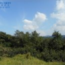 대곡면-12 이미지