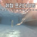 웨일프리