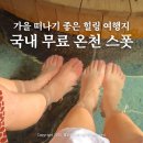 덕산 산딸나무길 | 주말에 가기 좋은 가을 온천 여행 충남 예산 덕산온천 족욕장