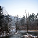 금선다원 | ♬ 오대산 월정사, 마음의 달이 아름다운 절