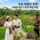 발리 우붓 여행 필수 코스, 우리끼리 여유롭게 즐기는 프라이빗 가성비 투어 후기