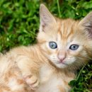 동부시장상가 이미지