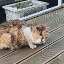 밀플랜비 (순천향대점) 이미지