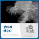 지오도그 - 청주시 상당구 단재로 2419 | 지오도그