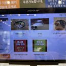 소혜진 강남제비 송탄직영점 이미지