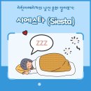 시에스타(SIESTA) 이미지