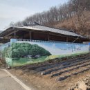 리틀포레스트 | (영화)리틀포레스트 촬영지 다녀온 후기(대구군위)