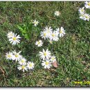 팔거리농장 이미지