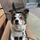 간식파는남자 이미지