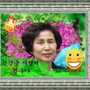 강서초교 이미지