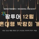 (주)강남투어 이미지