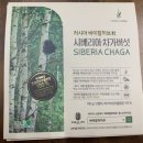 바이칼허브 이미지