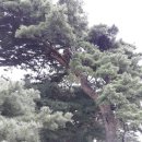 두 갈래 길, 아주 오래된 두 친구와 인연을 끊어야 하나 같이 가야 하나?