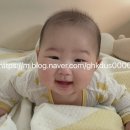곡성-174 네이버블로그