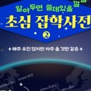 초심평내호평역점