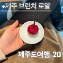 로얄 | jw메리어트 제주 브런치 로얄 후기 샴폐인 캐비어