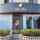 벨라몽 애견호텔 이미지