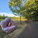 쌍암동산 이미지