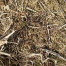 도촌농장 이미지