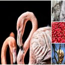 색연필로 그리는 풍경화 이미지