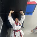 다산 용인대 수호태권도 이미지