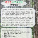 한국체대백궁태권도