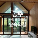 [공주]산림휴양마을 주미산 숲속의집 가성비 숙소 예약방법 및 이용후기_숲나들e