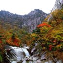 금강산 - 고령군 주산길 7 | 금강산